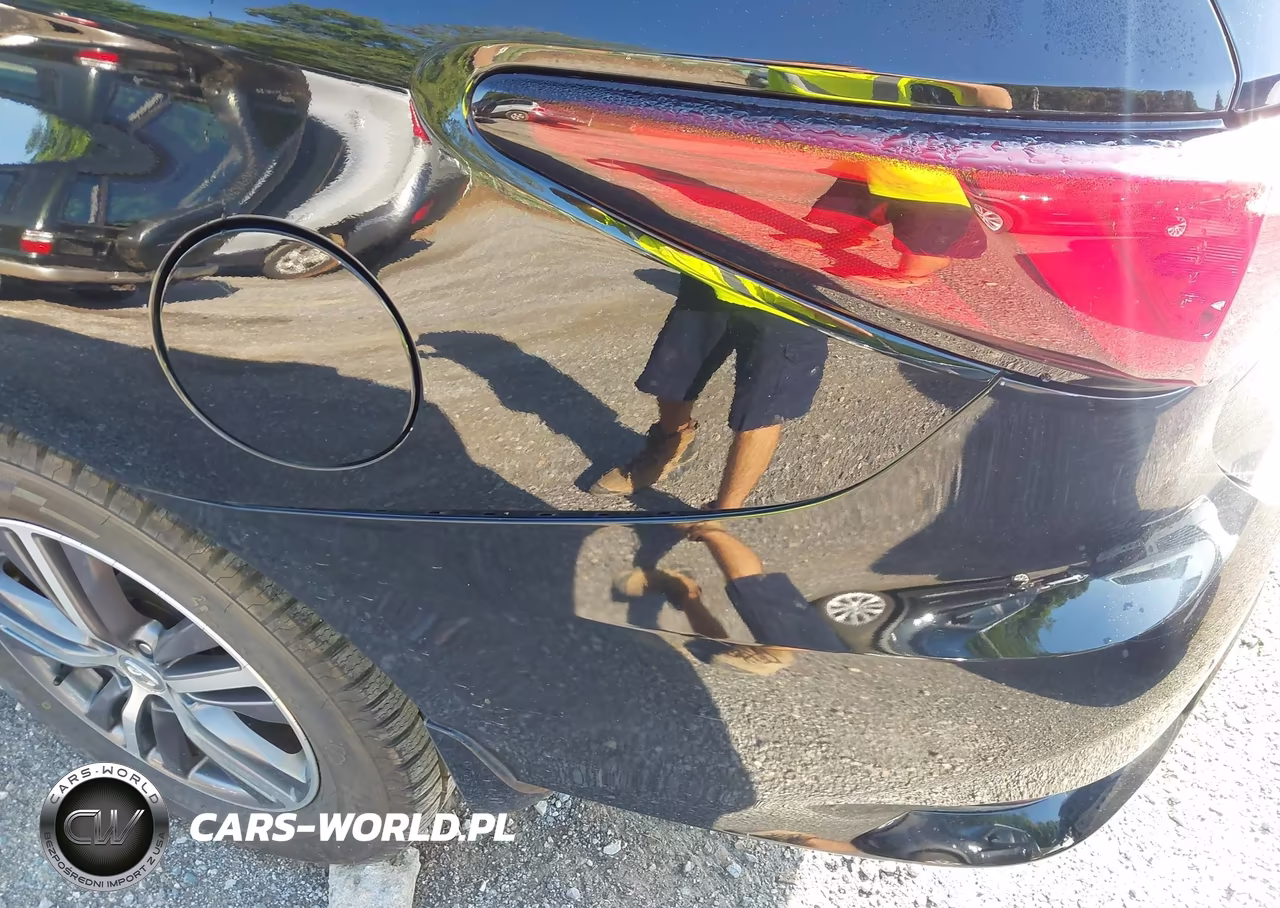 2019 Infiniti Qx60 Pure VIN:5N1DL0MM1KC549211 - 20