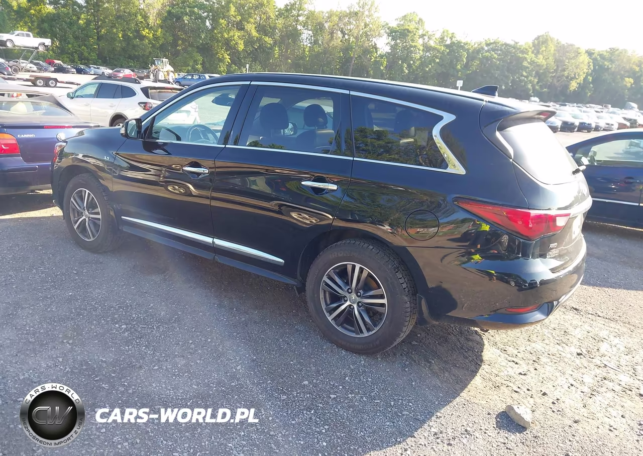 2019 Infiniti Qx60 Pure VIN:5N1DL0MM1KC549211 - 3