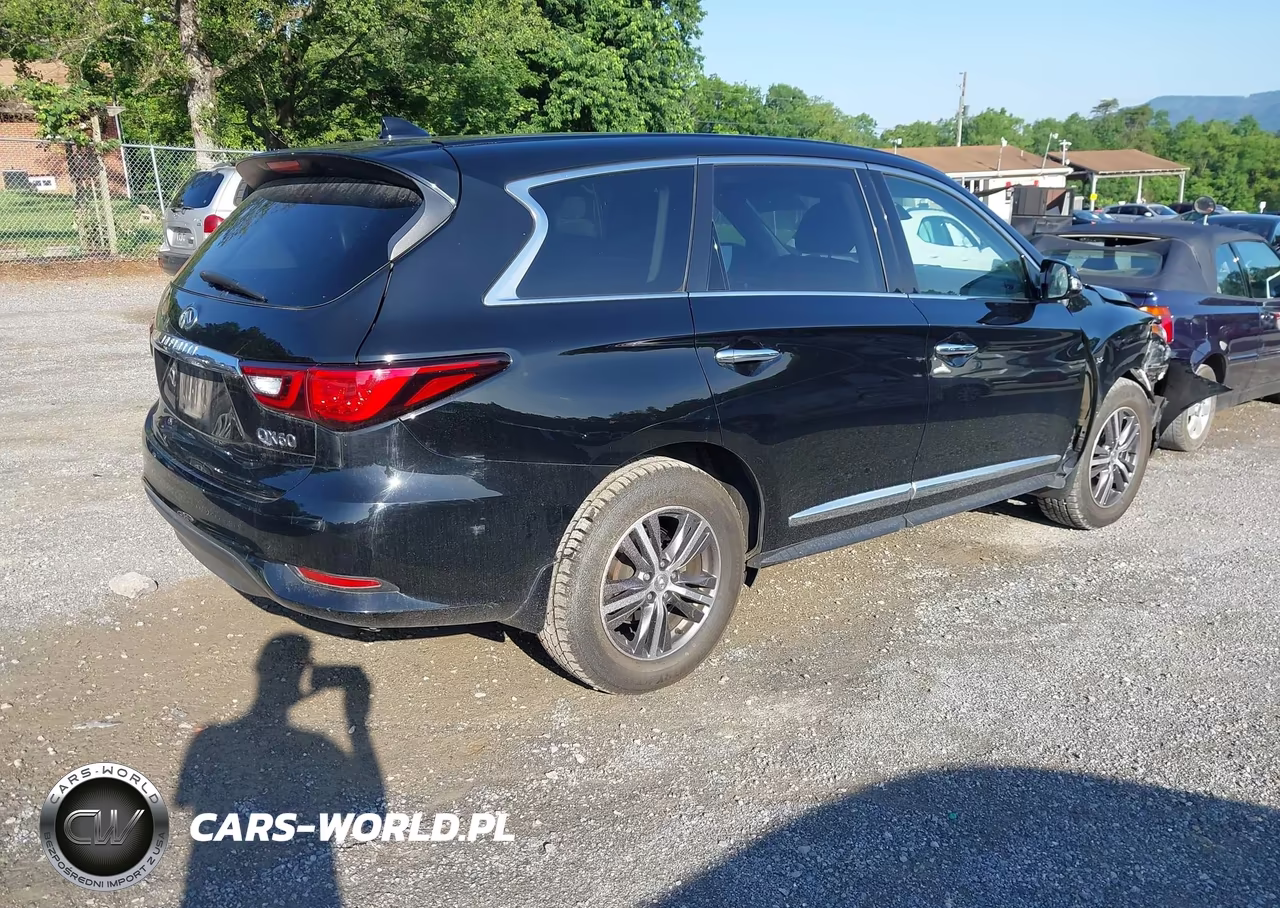 2019 Infiniti Qx60 Pure VIN:5N1DL0MM1KC549211 - 4