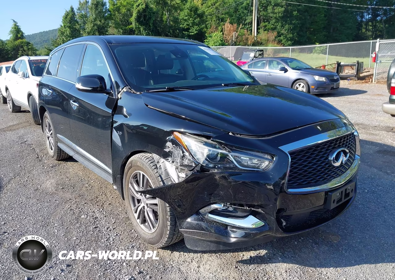 2019 Infiniti Qx60 Pure VIN:5N1DL0MM1KC549211 - 6