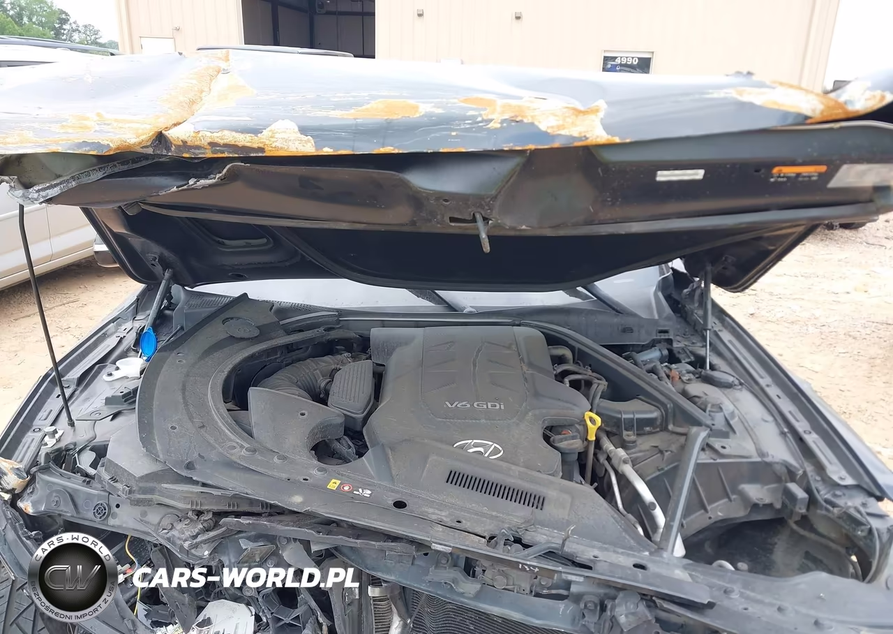 2015 Hyundai Genesis 3.8 VIN:KMHGN4JE1FU050159 - 10