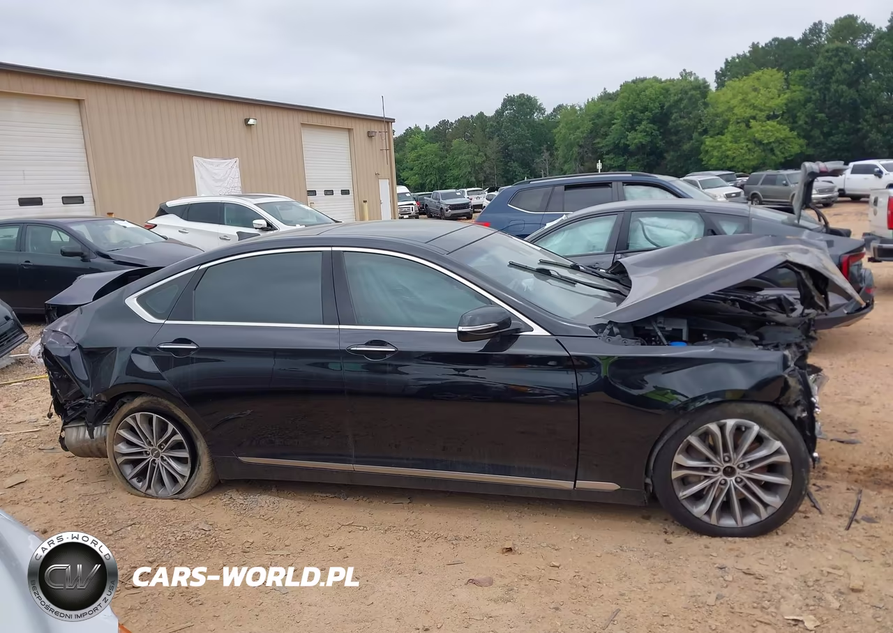 2015 Hyundai Genesis 3.8 VIN:KMHGN4JE1FU050159 - 13