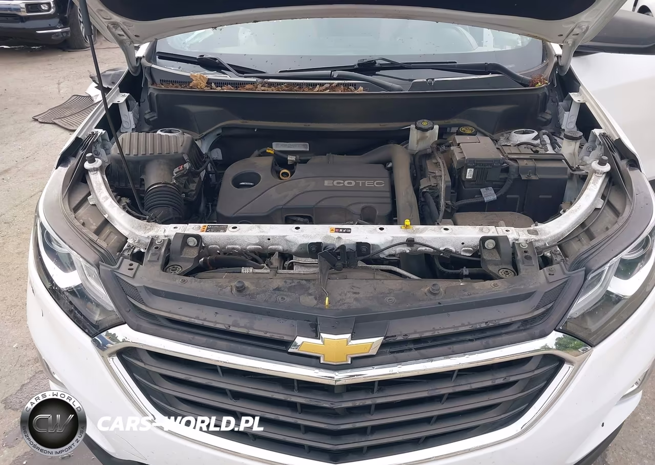 2019 Chevrolet Equinox Ls VIN:2GNAXSEV8K6110165 - 10