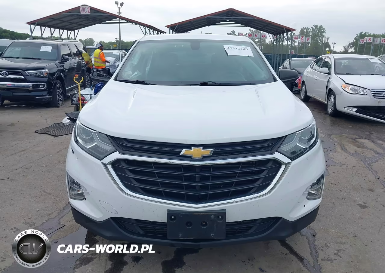 2019 Chevrolet Equinox Ls VIN:2GNAXSEV8K6110165 - 12