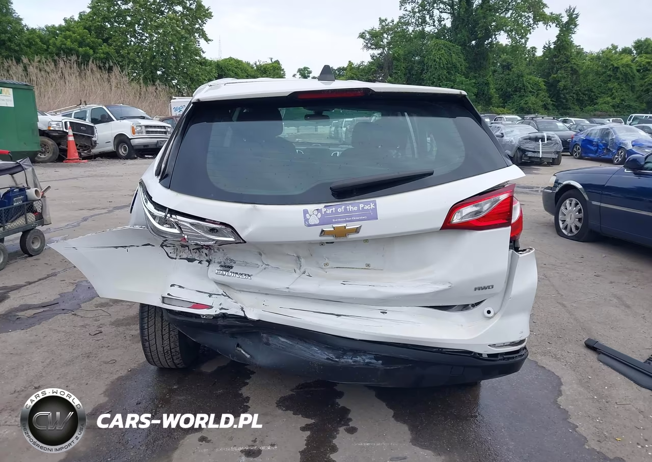 2019 Chevrolet Equinox Ls VIN:2GNAXSEV8K6110165 - 16