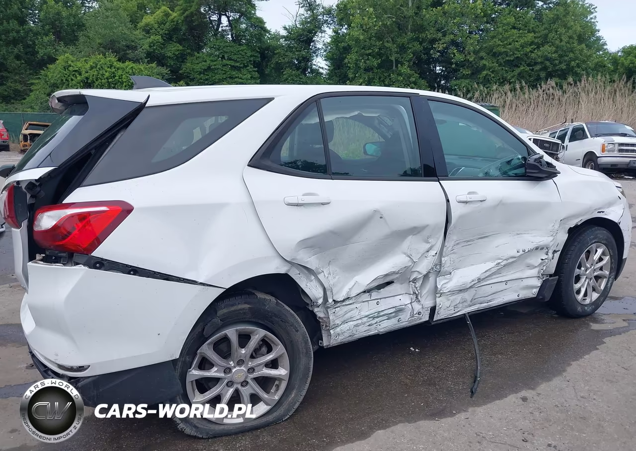 2019 Chevrolet Equinox Ls VIN:2GNAXSEV8K6110165 - 17