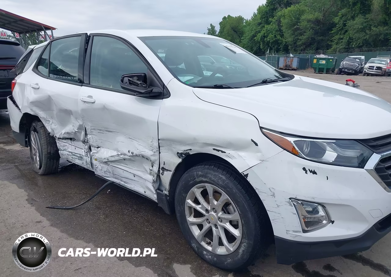 2019 Chevrolet Equinox Ls VIN:2GNAXSEV8K6110165 - 18