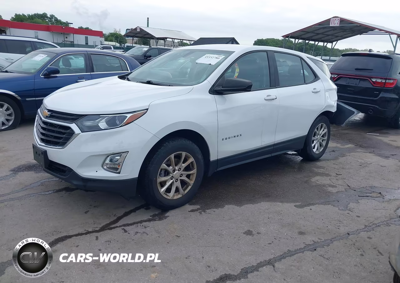 2019 Chevrolet Equinox Ls VIN:2GNAXSEV8K6110165 - 2