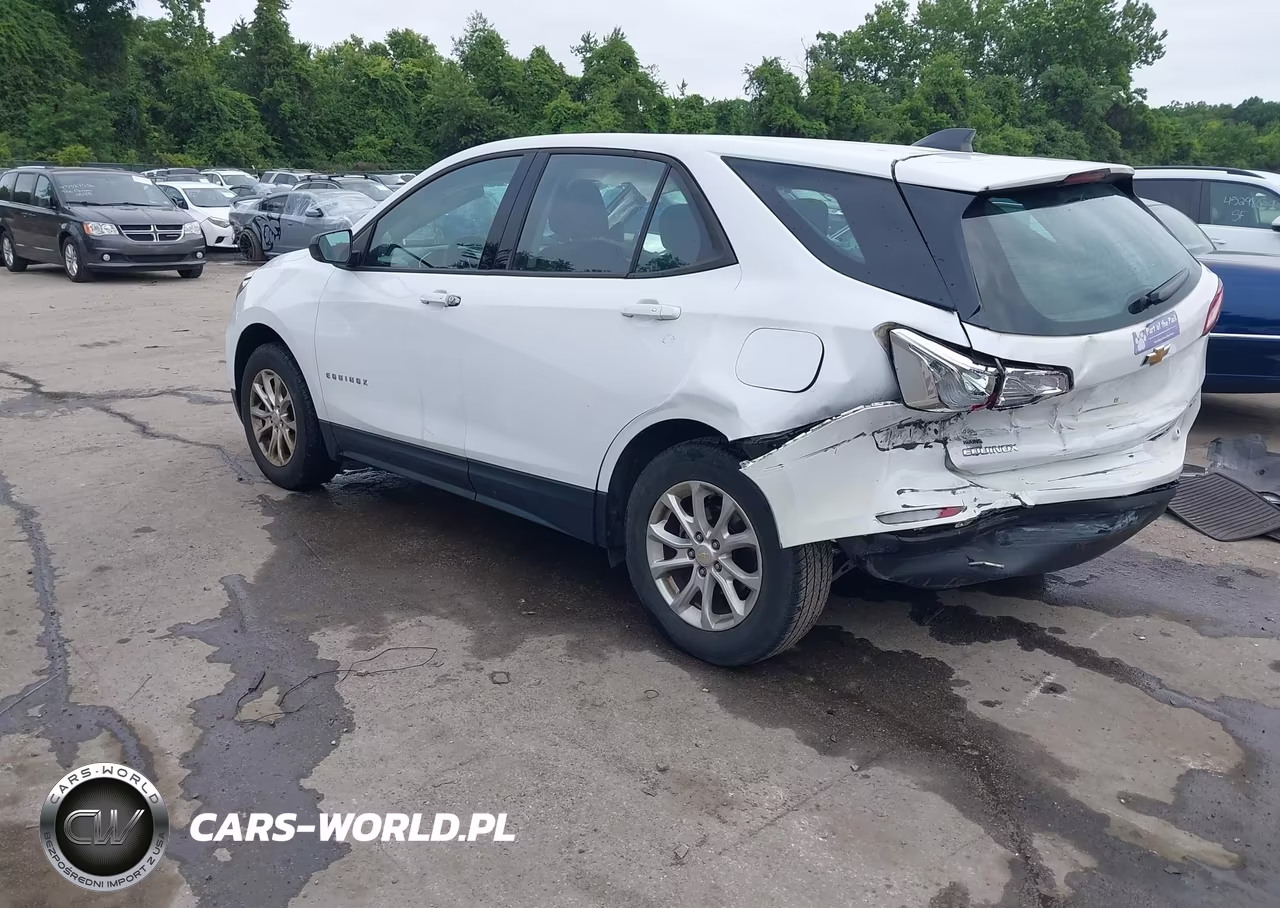 2019 Chevrolet Equinox Ls VIN:2GNAXSEV8K6110165 - 3