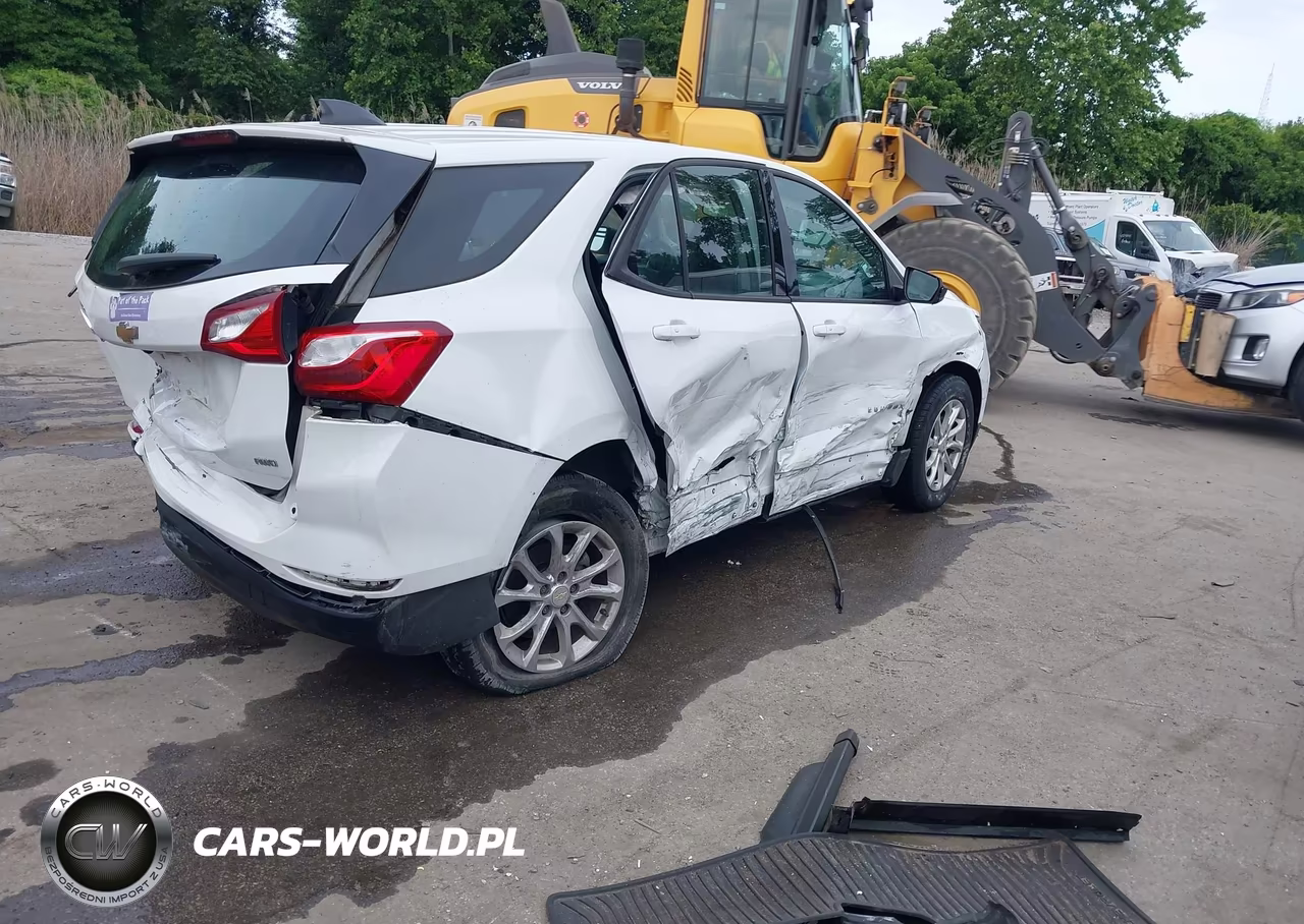 2019 Chevrolet Equinox Ls VIN:2GNAXSEV8K6110165 - 4