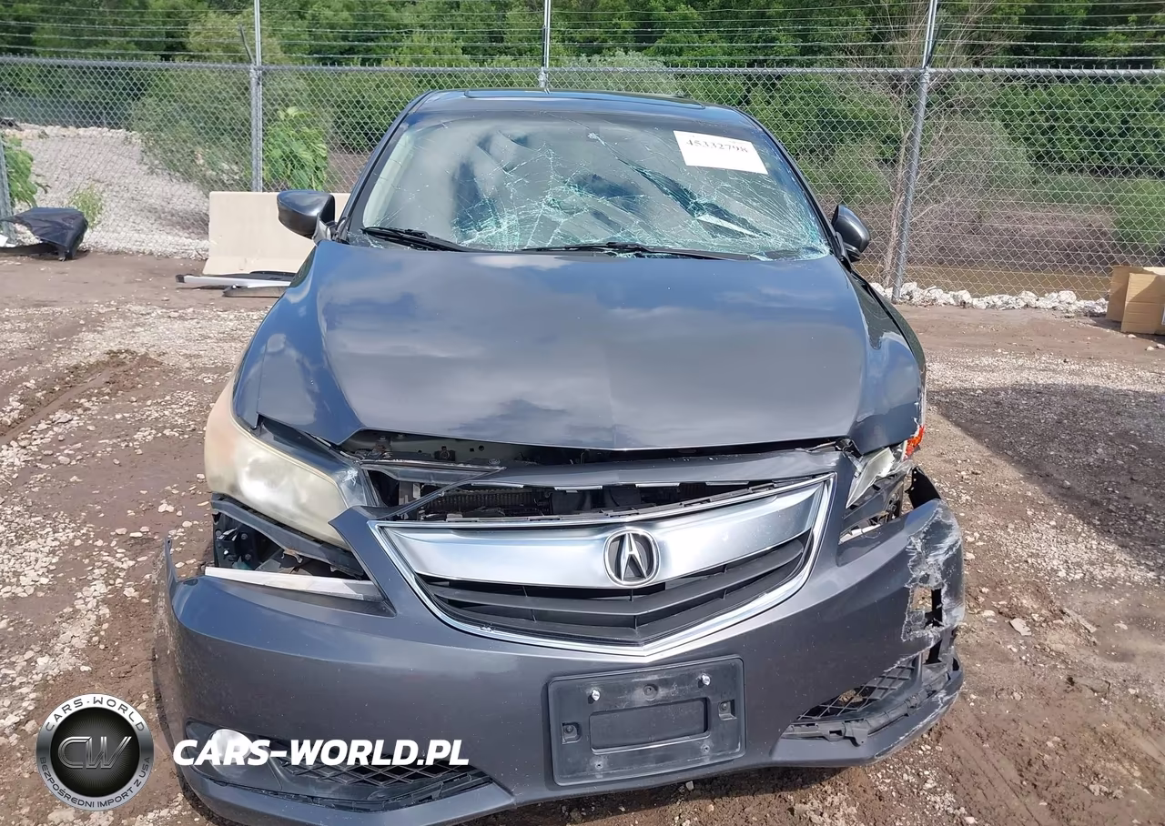 2013 Acura Ilx 2.0L VIN:19VDE1F5XDE006048 - 12
