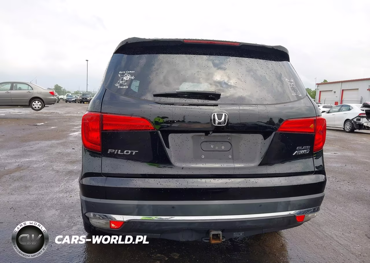 2016 Honda Pilot Elite VIN:5FNYF6H01GB119065 - 16