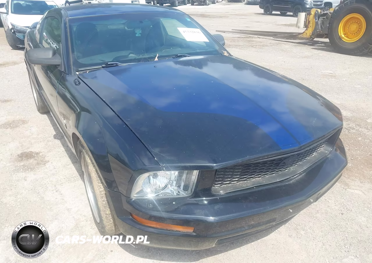 2008 Ford Mustang V6 Premium VIN:1ZVHT80N585105553 - 13