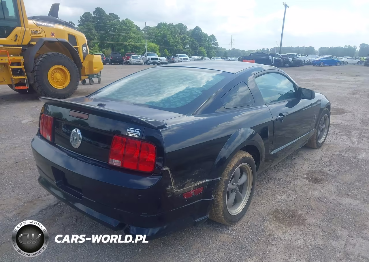 2008 Ford Mustang V6 Premium VIN:1ZVHT80N585105553 - 4