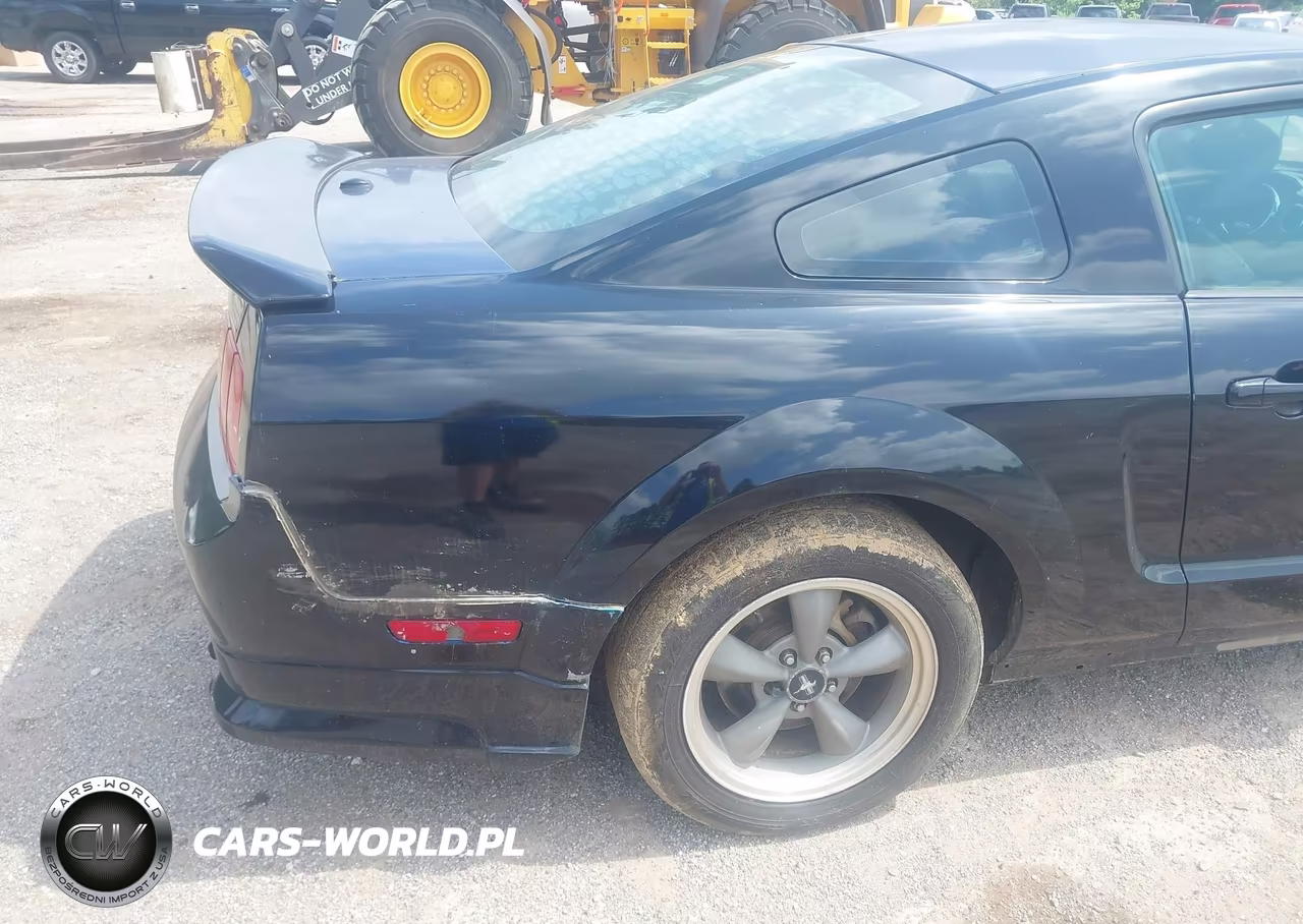 2008 Ford Mustang V6 Premium VIN:1ZVHT80N585105553 - 6