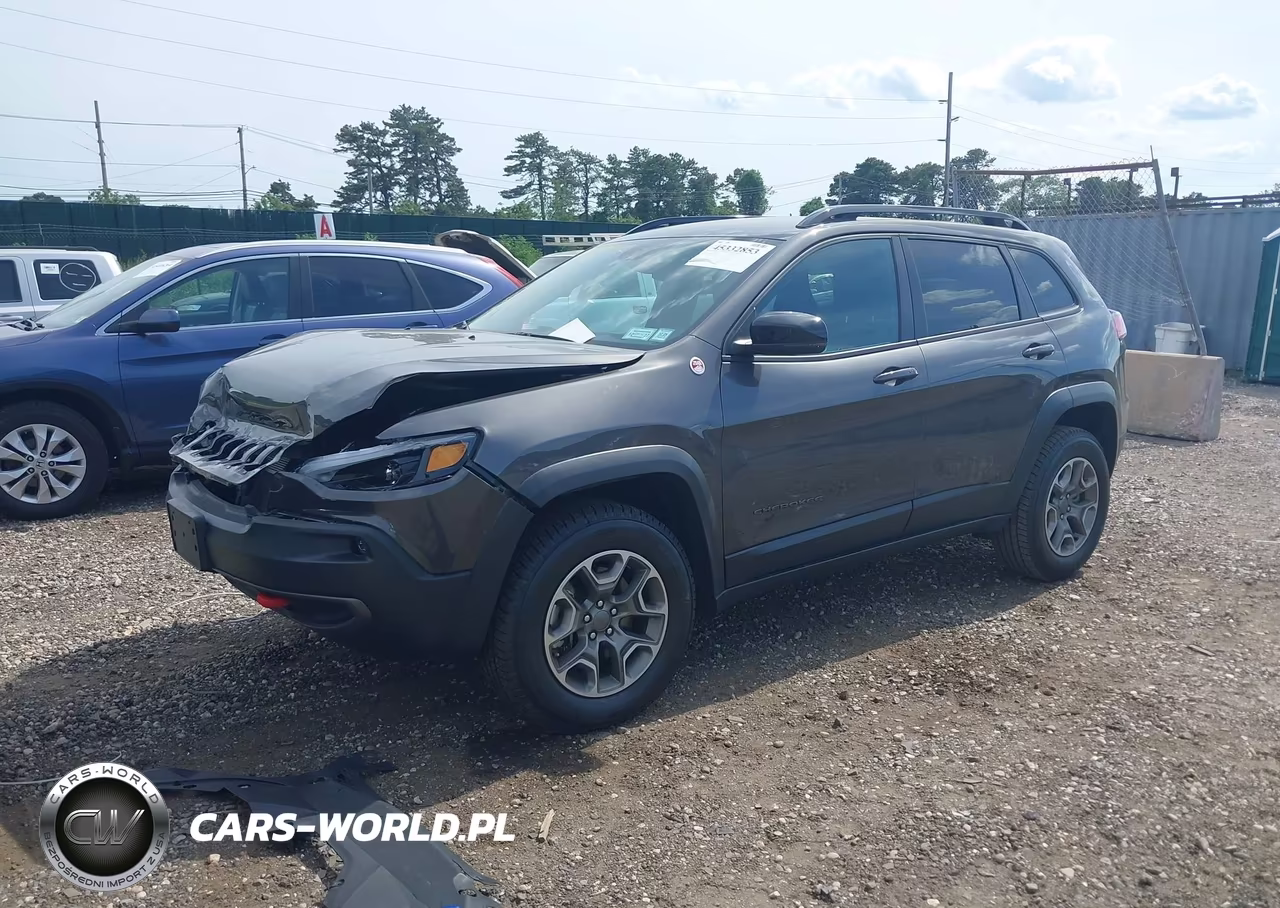 2022 Jeep Cherokee Trailhawk 4X4 VIN:1C4PJMBX9ND538810 - 2