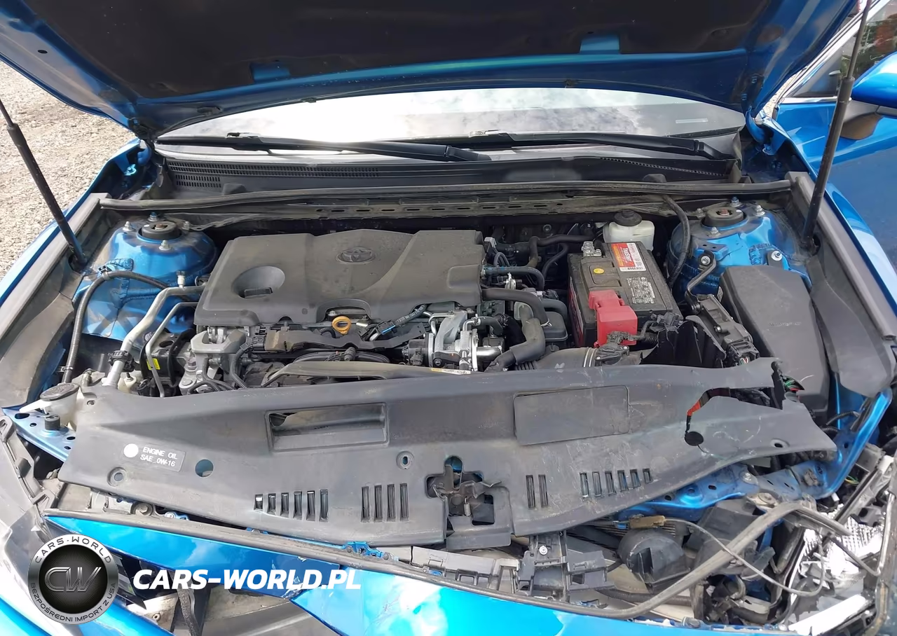 2019 Toyota Camry Le VIN:4T1B11HK4KU295189 - 10