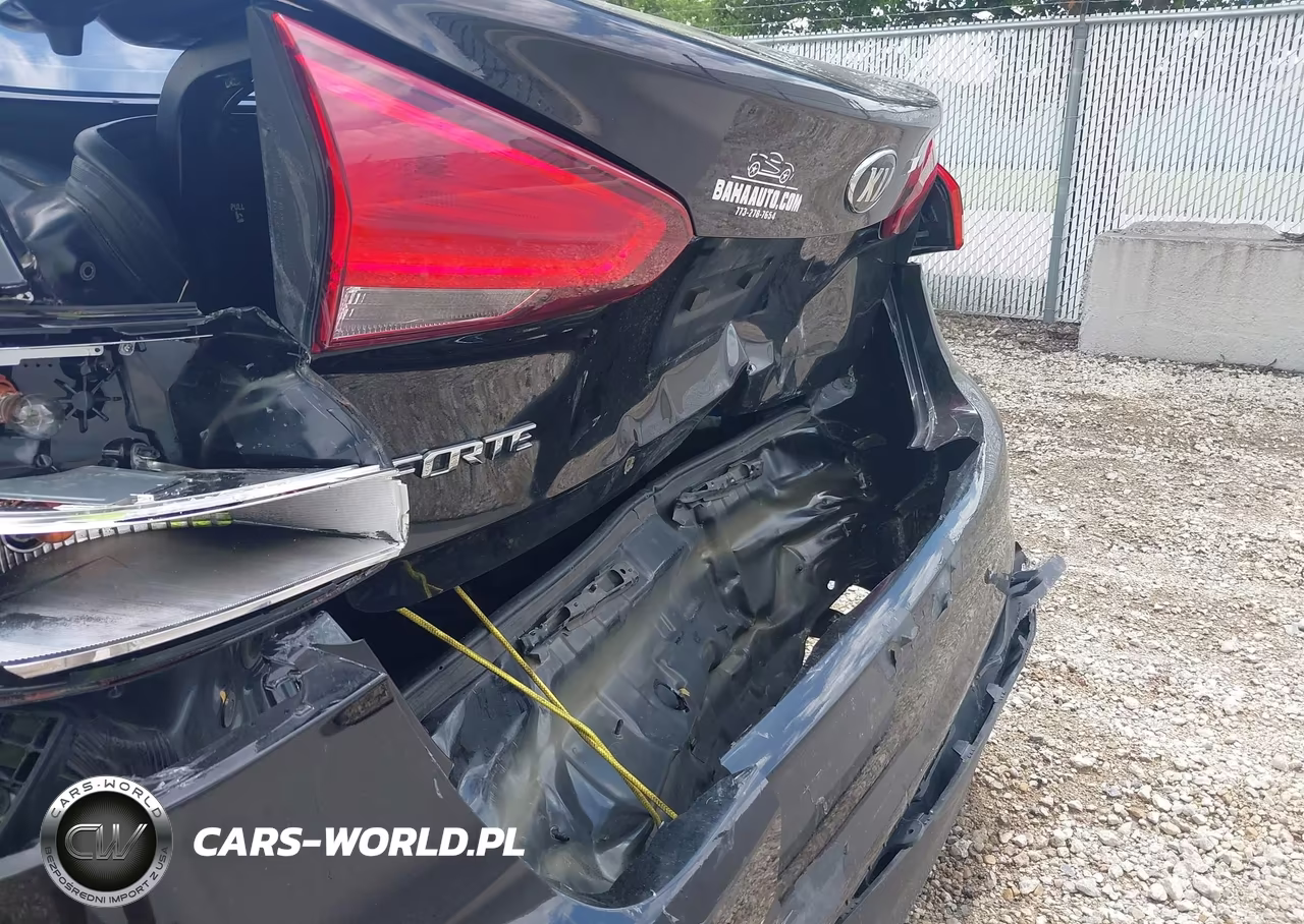 2018 Kia Forte Lx VIN:3KPFK4A75JE175649 - 17