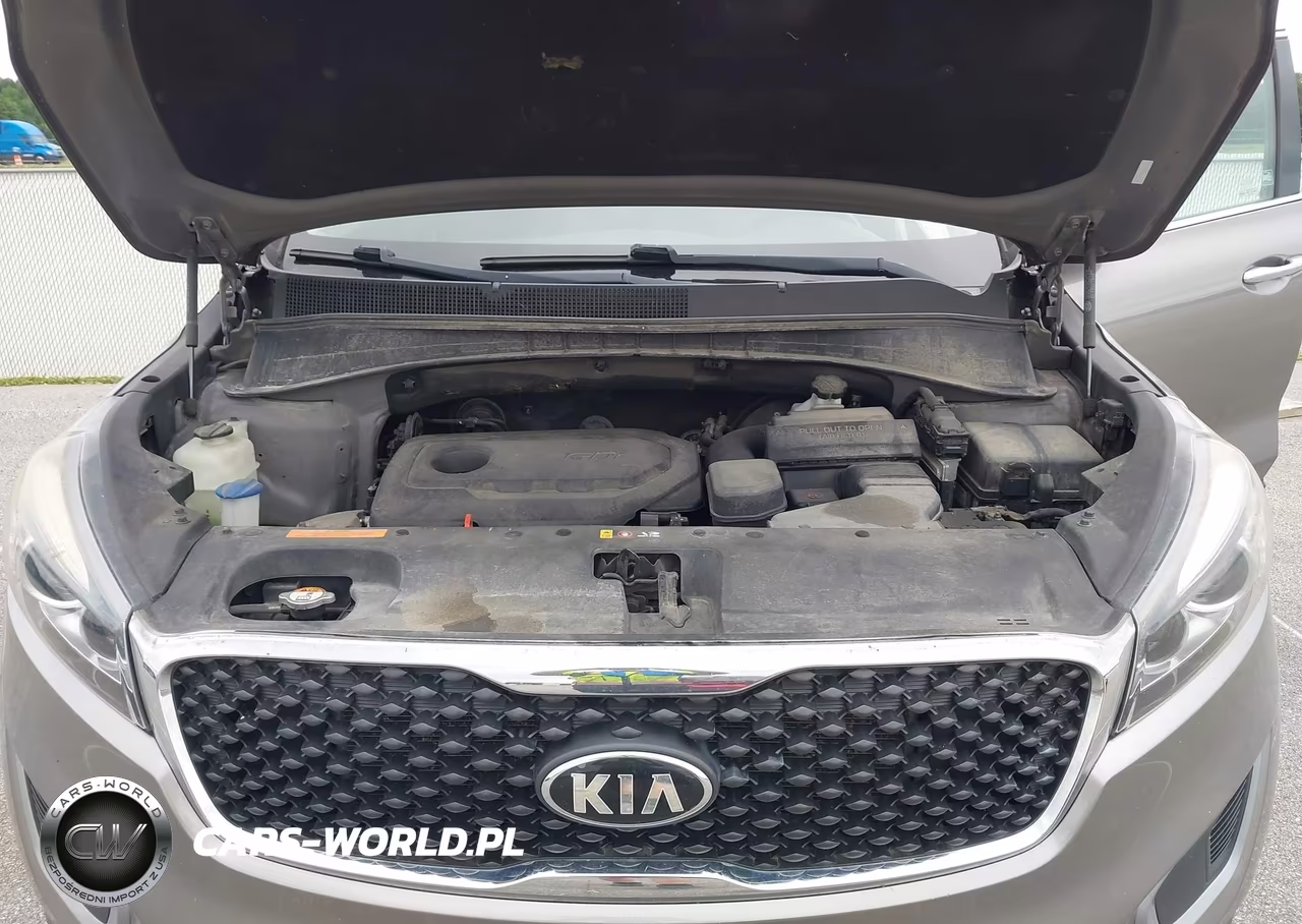 2017 Kia Sorento 2.4L Lx VIN:5XYPGDA33HG260991 - 10