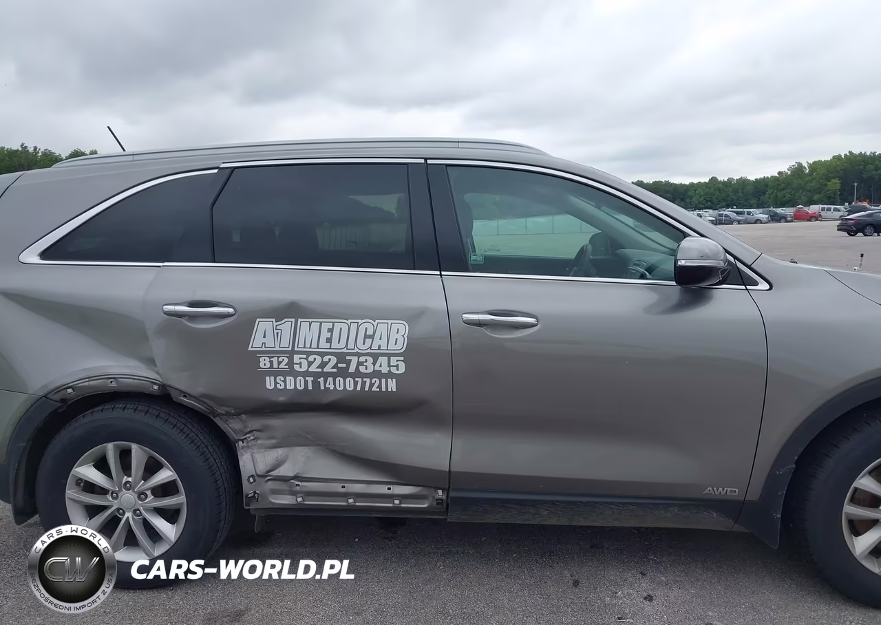 2017 Kia Sorento 2.4L Lx VIN:5XYPGDA33HG260991 - 13