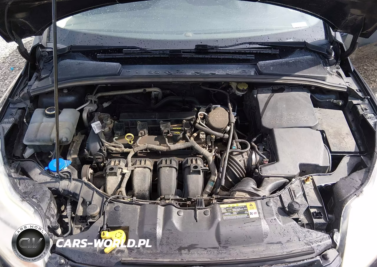 2012 Ford Focus Se VIN:1FAHP3F23CL443809 - 10