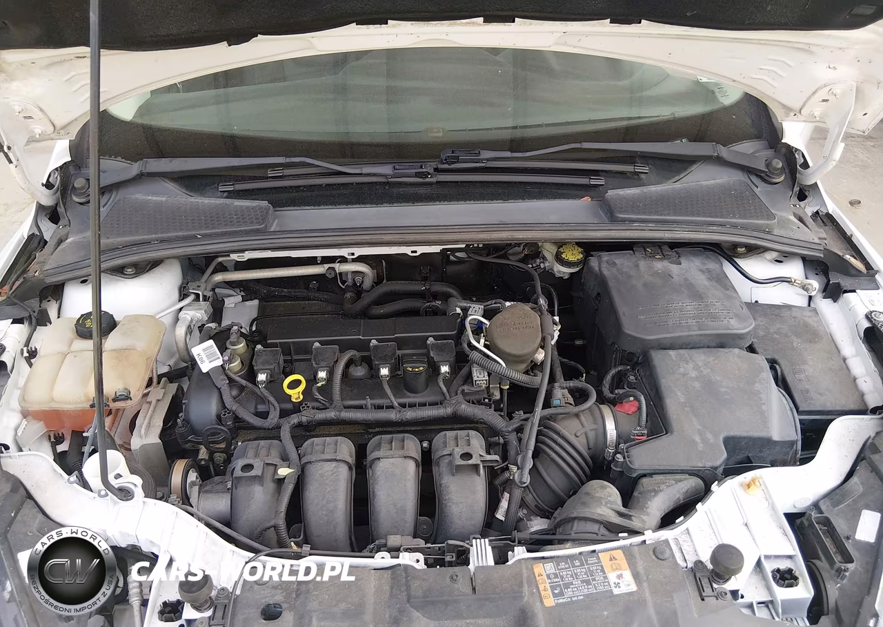 2016 Ford Focus Se VIN:1FADP3F25GL222233 - 10