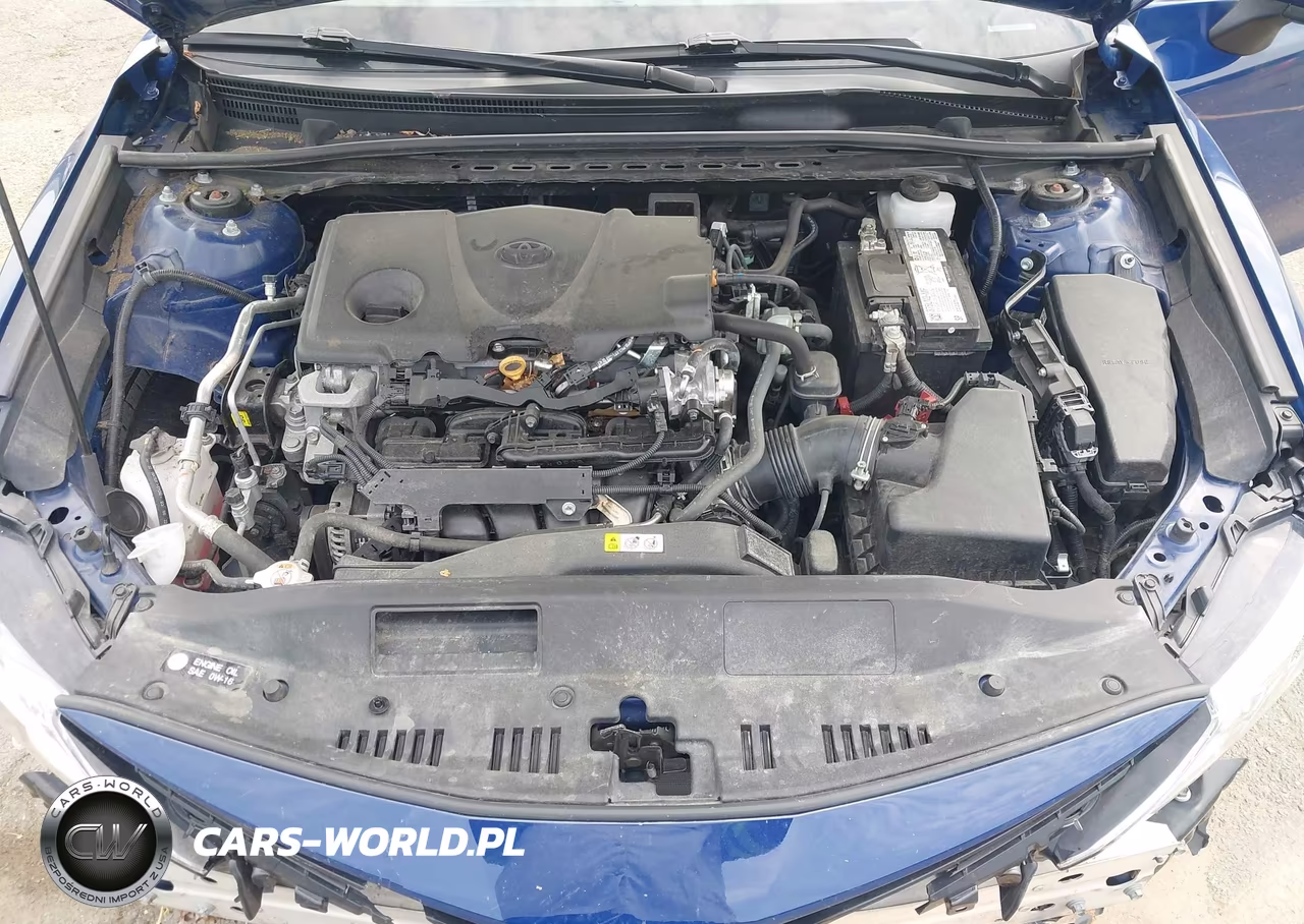 2023 Toyota Camry Le VIN:4T1C11BK4PU098754 - 10