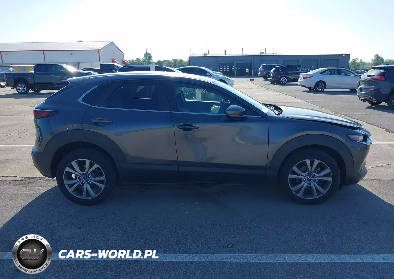 2020 Mazda Cx-30 Preferred Package VIN:3MVDMBDL6LM120567 - 13