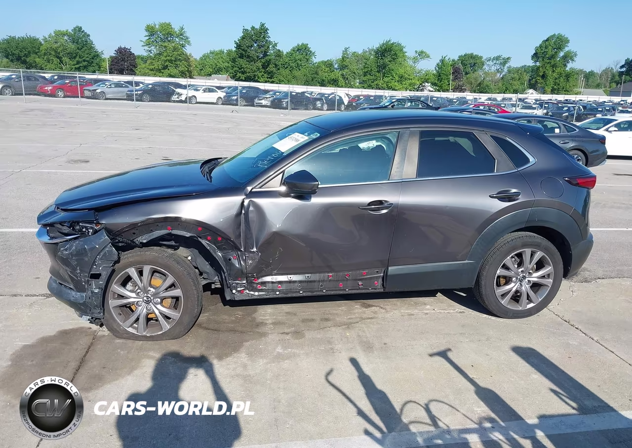 2020 Mazda Cx-30 Preferred Package VIN:3MVDMBDL6LM120567 - 14