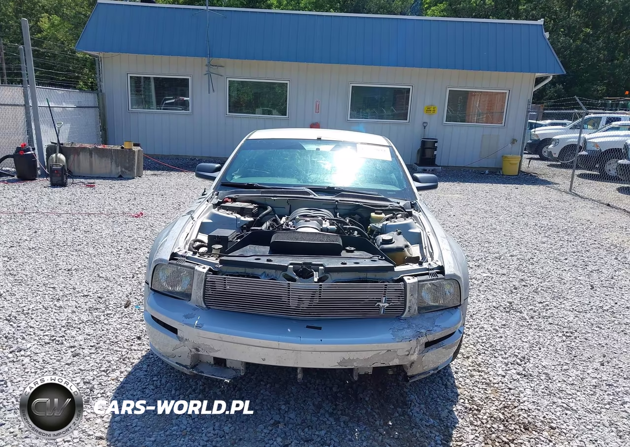 2006 Ford Mustang Gt VIN:1ZVFT82H565184086 - 12
