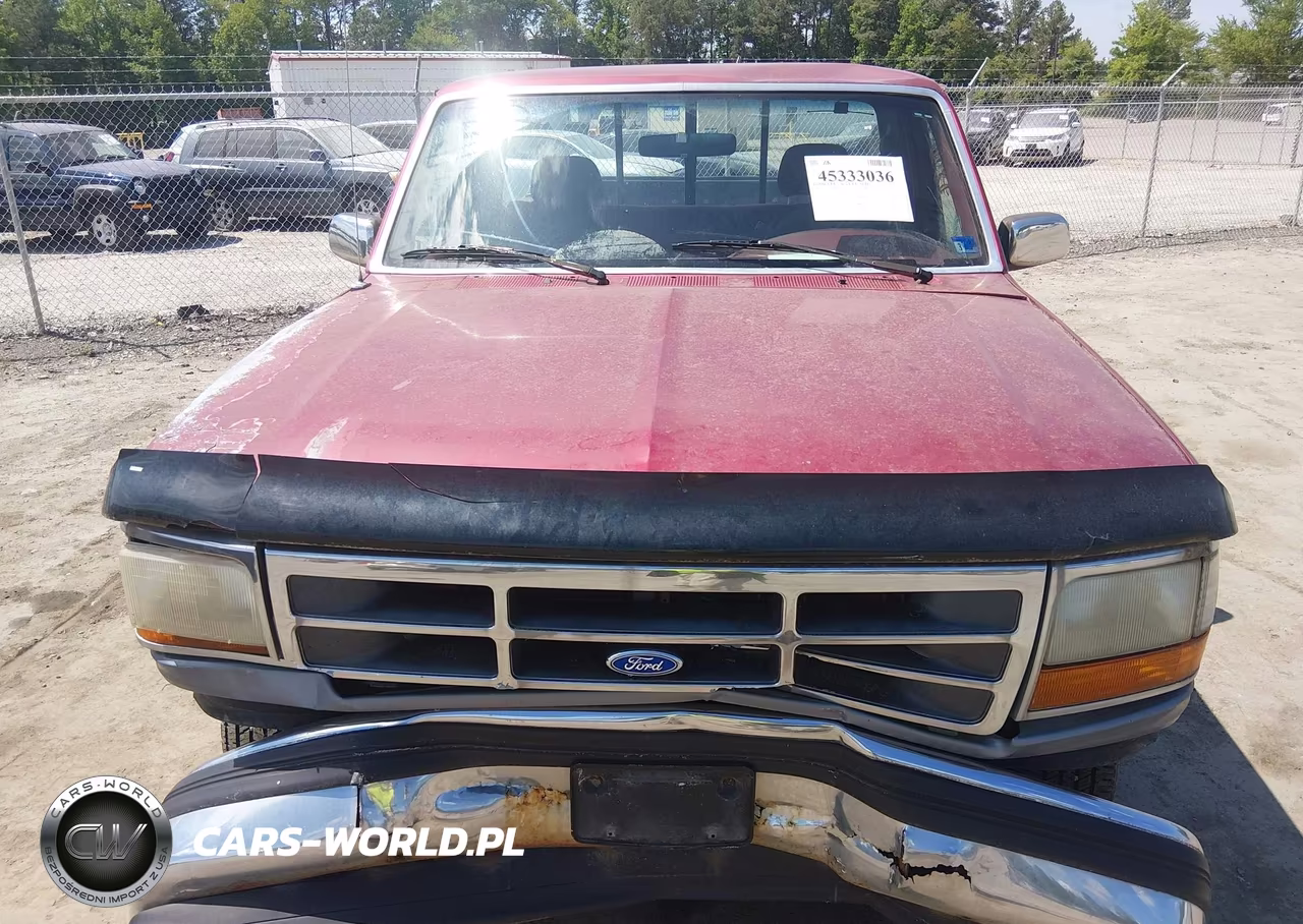 1995 Ford F150 VIN:1FTEF15N1SNA02876 - 10
