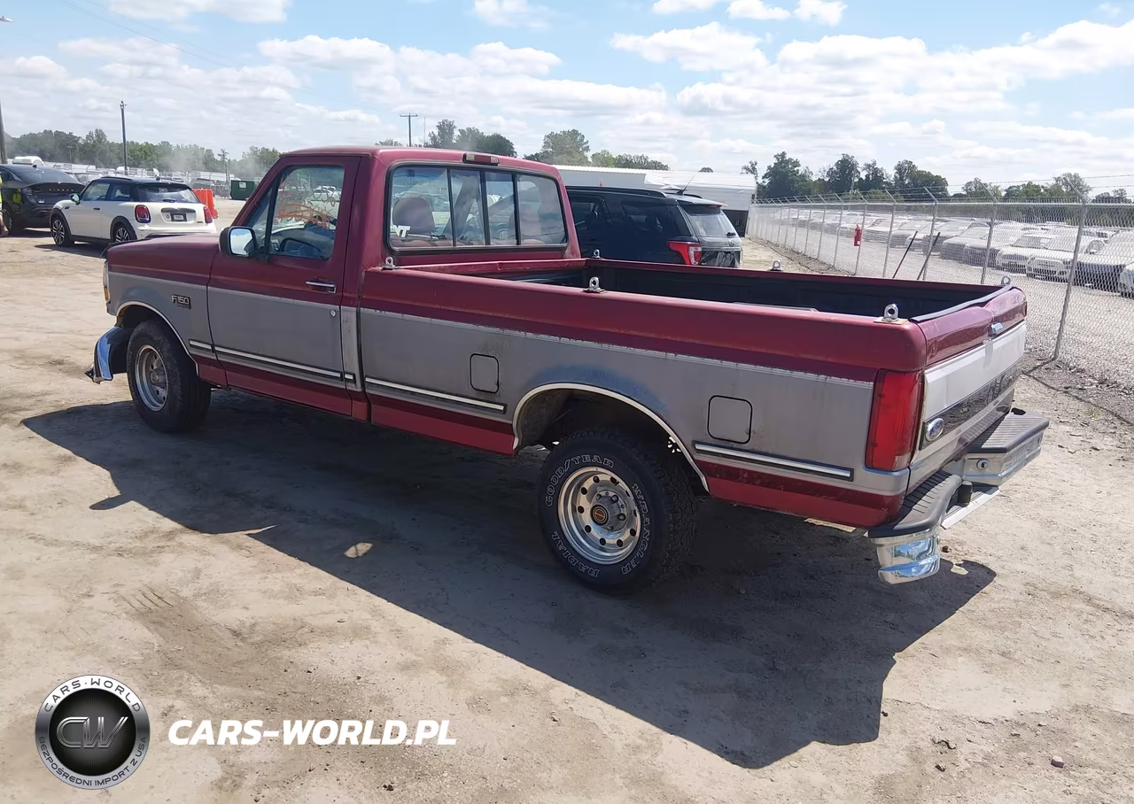 1995 Ford F150 VIN:1FTEF15N1SNA02876 - 3