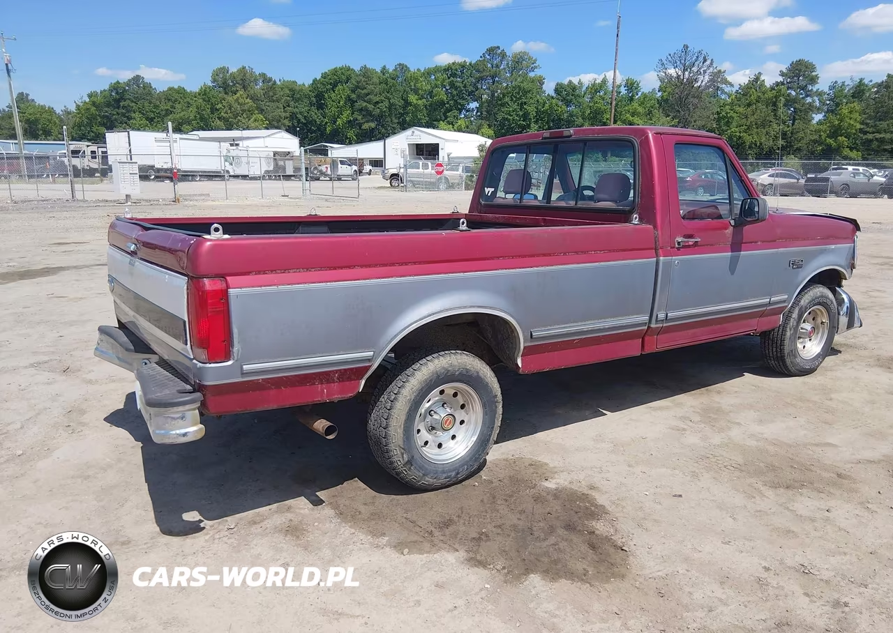 1995 Ford F150 VIN:1FTEF15N1SNA02876 - 4