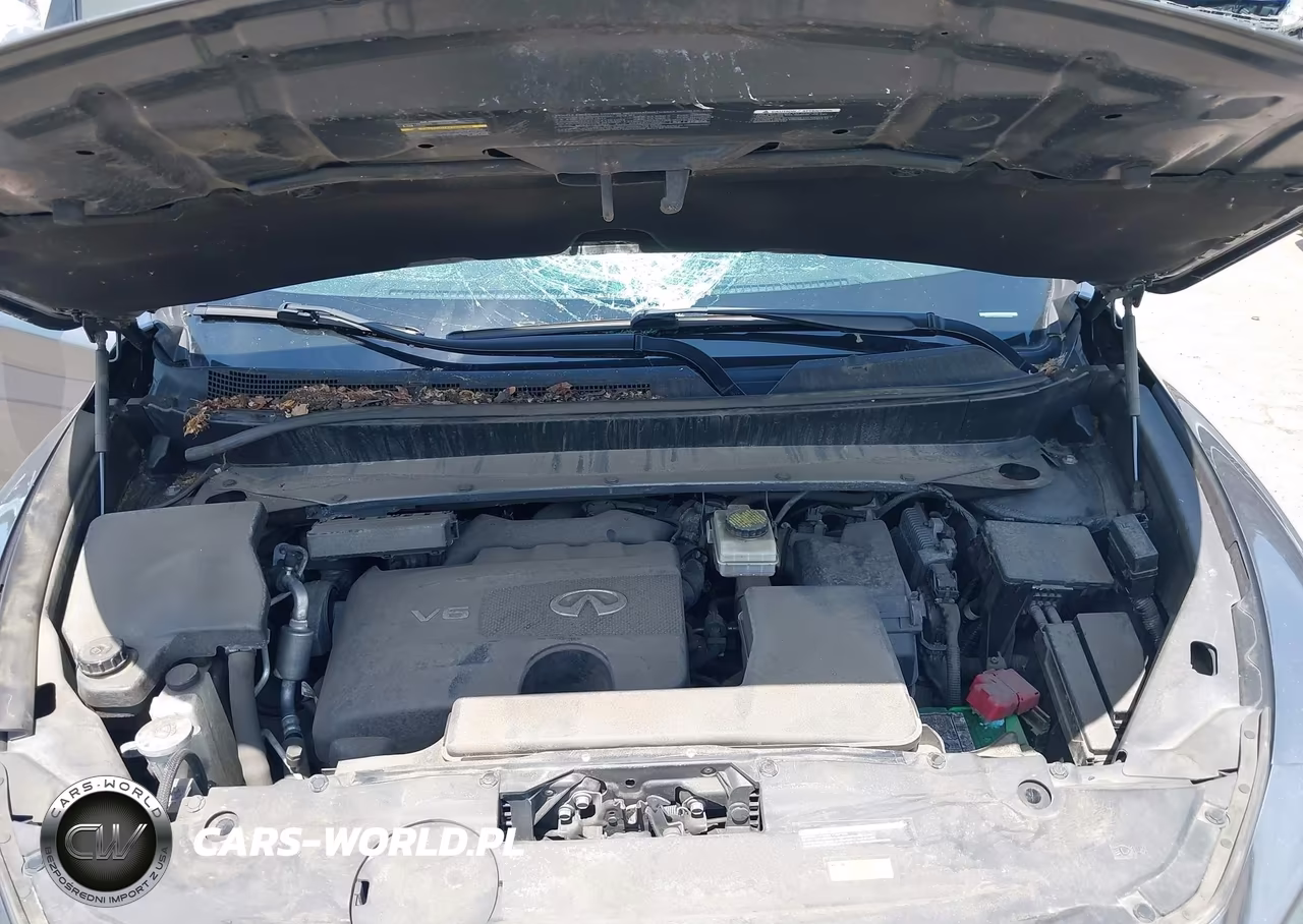 2019 Infiniti Qx60 Luxe VIN:5N1DL0MM5KC569106 - 10