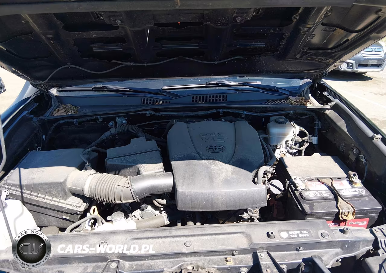 2019 Toyota Tacoma Trd Pro VIN:5TFCZ5AN6KX196725 - 10
