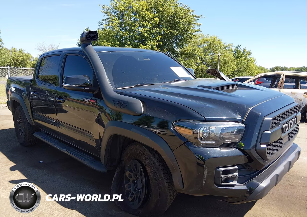 2019 Toyota Tacoma Trd Pro VIN:5TFCZ5AN6KX196725 - 6