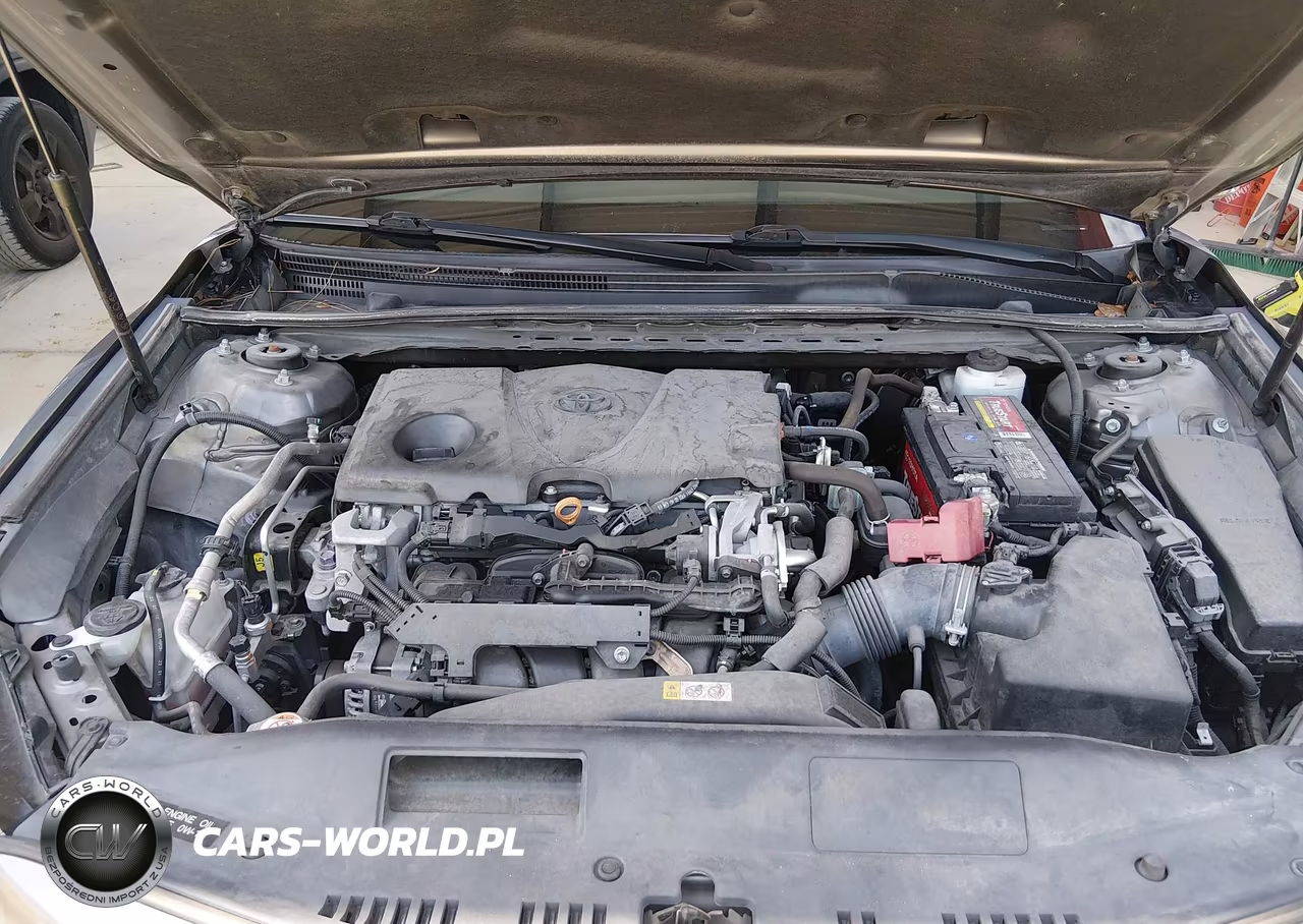 2019 Toyota Camry Xse VIN:4T1B61HK4KU851857 - 10