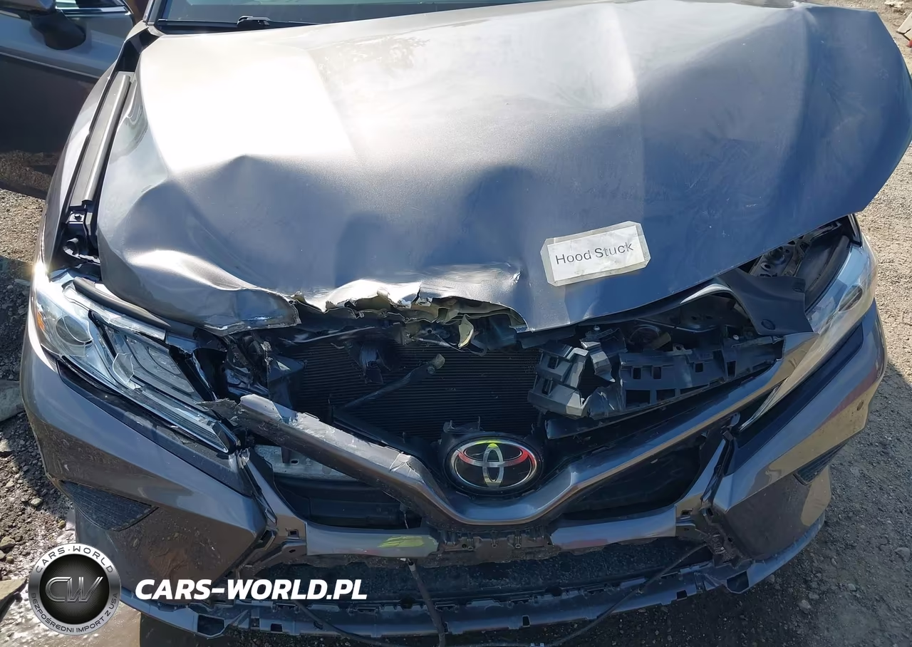 2018 Toyota Camry Xse VIN:4T1B61HK1JU031931 - 10