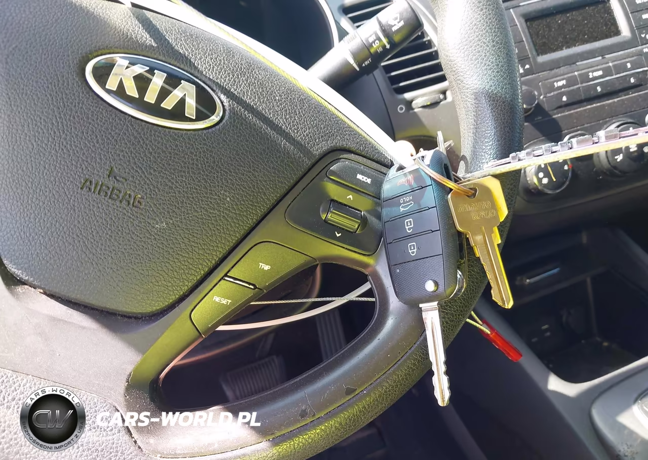 2016 Kia Forte Lx VIN:KNAFK4A60G5523012 - 11