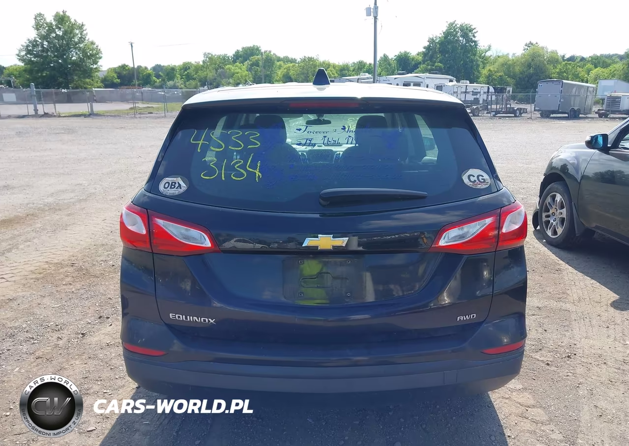 2019 Chevrolet Equinox Ls VIN:2GNAXSEV3K6114639 - 17