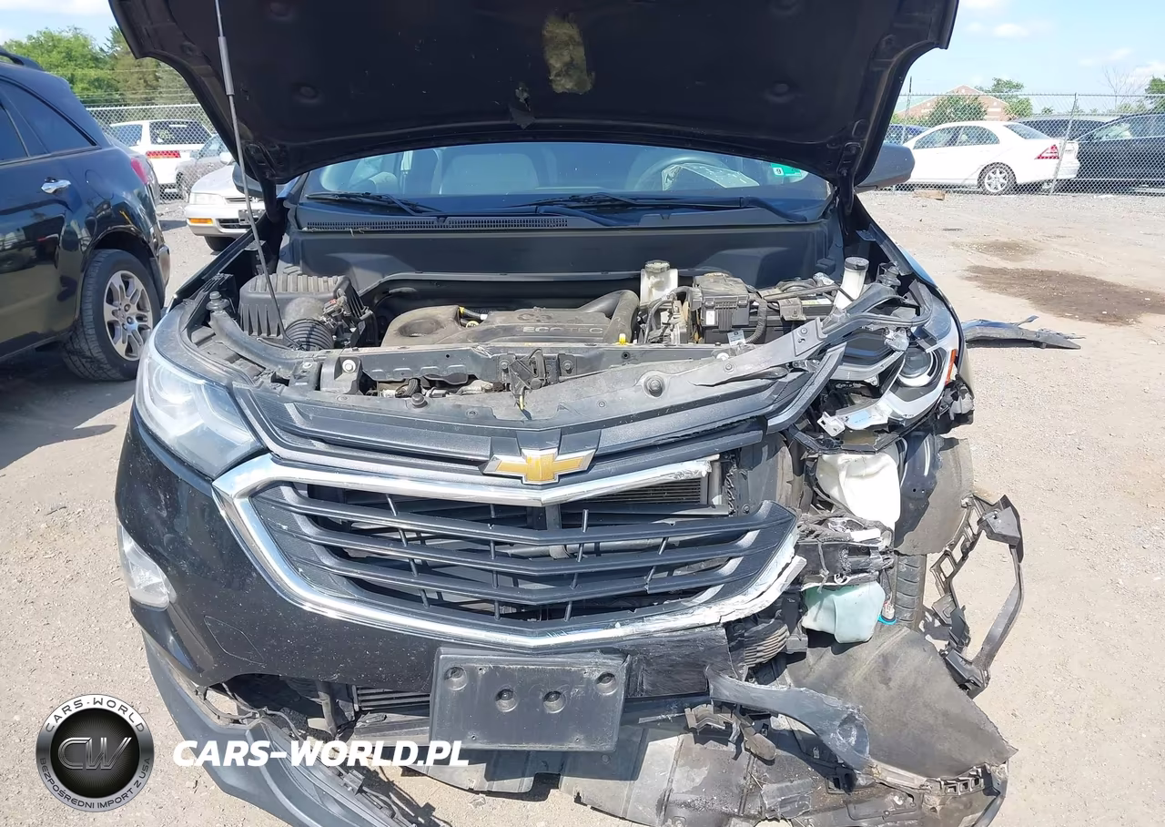 2019 Chevrolet Equinox Ls VIN:2GNAXSEV3K6114639 - 18