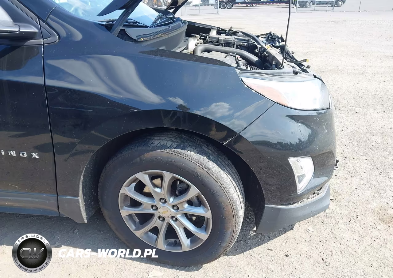 2019 Chevrolet Equinox Ls VIN:2GNAXSEV3K6114639 - 19