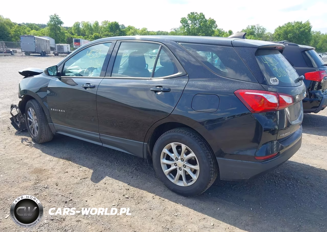 2019 Chevrolet Equinox Ls VIN:2GNAXSEV3K6114639 - 3
