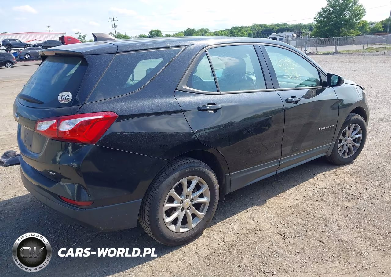 2019 Chevrolet Equinox Ls VIN:2GNAXSEV3K6114639 - 4