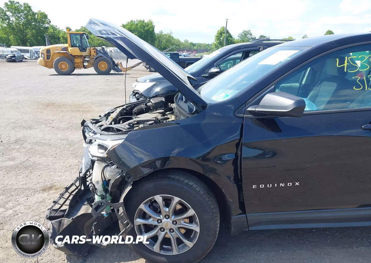2019 Chevrolet Equinox Ls VIN:2GNAXSEV3K6114639 - 6