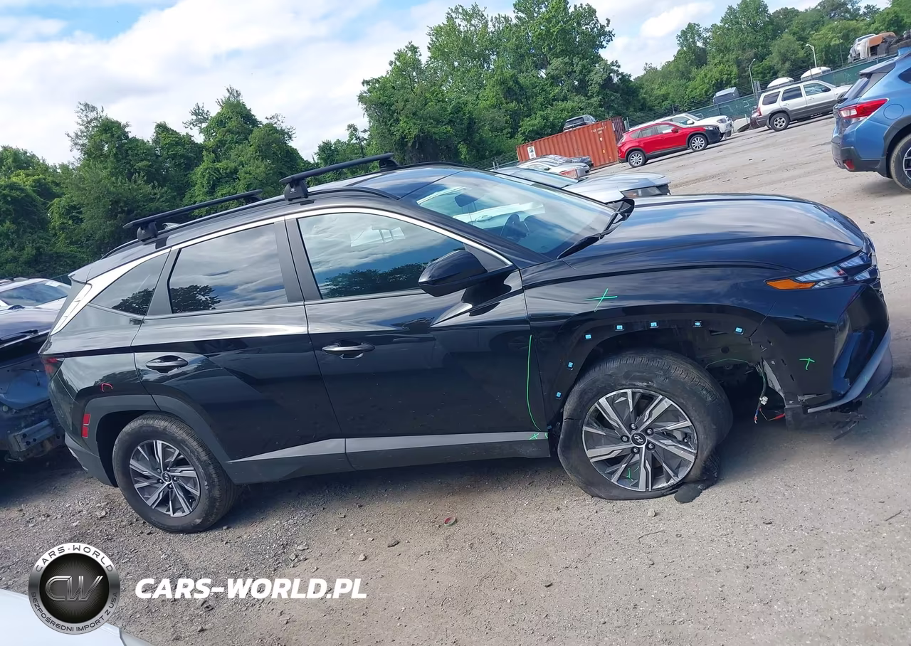 2024 Hyundai Tucson Hybrid Blue VIN:KM8JBCD12RU223127 - 14