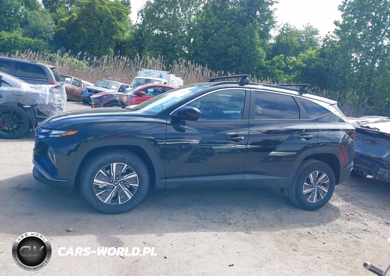 2024 Hyundai Tucson Hybrid Blue VIN:KM8JBCD12RU223127 - 15
