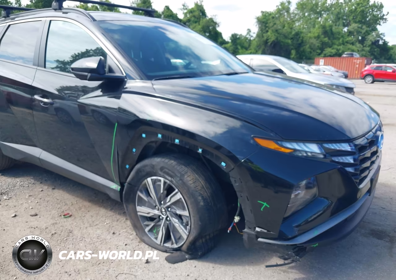 2024 Hyundai Tucson Hybrid Blue VIN:KM8JBCD12RU223127 - 6
