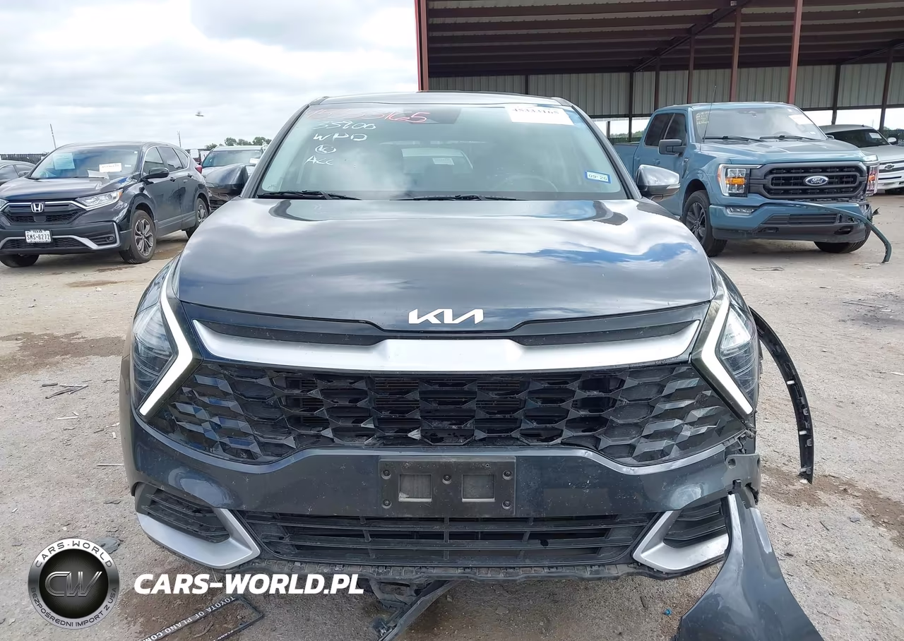 2024 Kia Sportage Ex VIN:5XYK33DF4RG150250 - 12