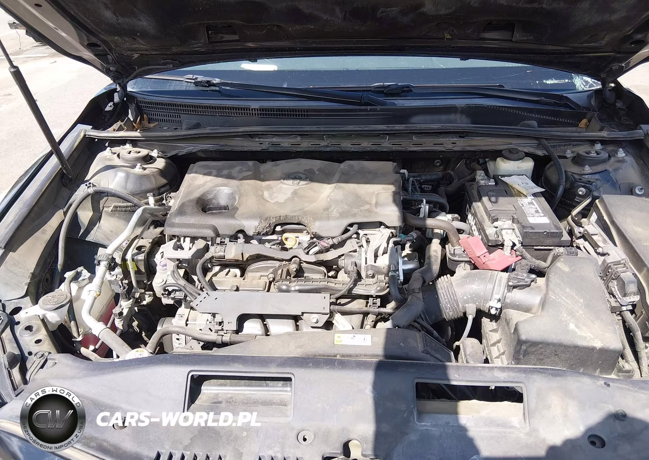 2018 Toyota Camry Xse VIN:4T1B61HK2JU021635 - 10